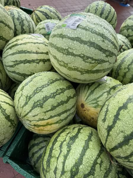 Rema 1000 Ringsted præsenterer dagens tilbud på smørbar og frisk frugt