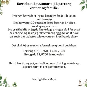 Opslagsbillede
