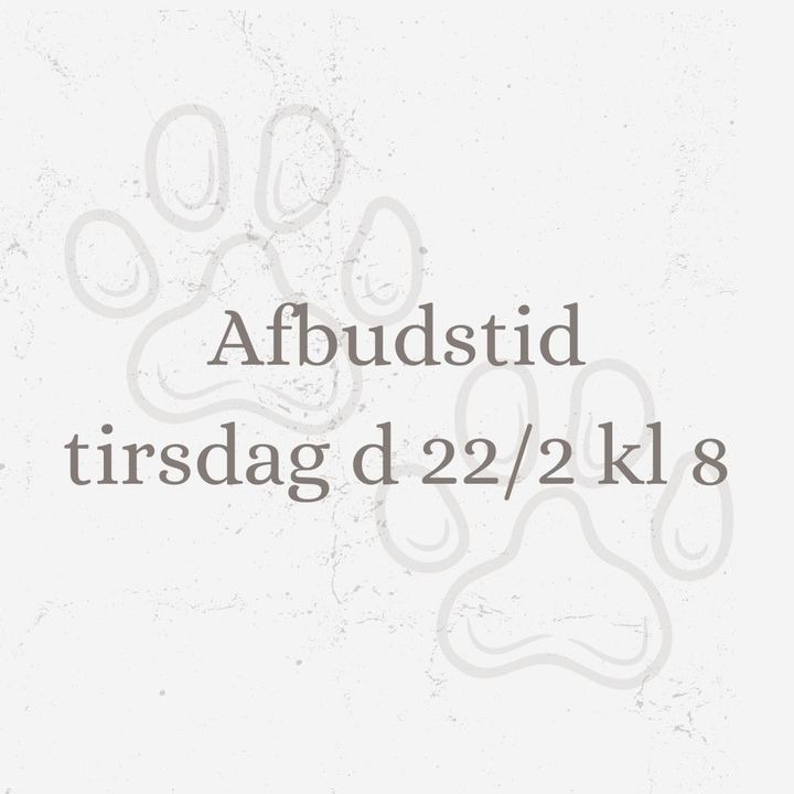 En finger på pulsen i Hjørring