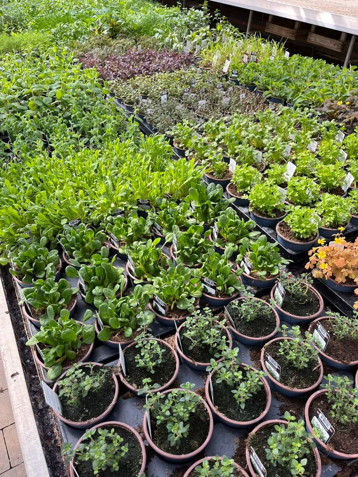 Se dagens updates fra Odder her