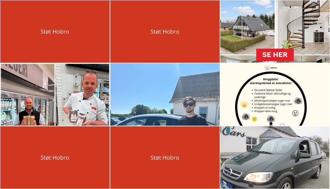 Nyt fra home Hobro, Ung i Balance, Frisdal Køreskole I/S og 2 andre