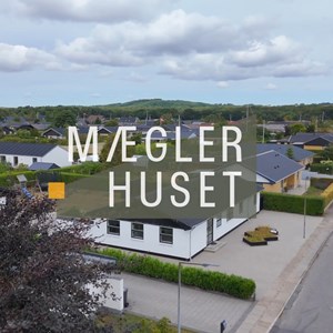 Opslagsbillede