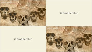 Der er spændende foredrag i Bjerringbro på tirsdag om menneskets evolution