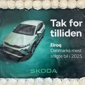opslagsbillede