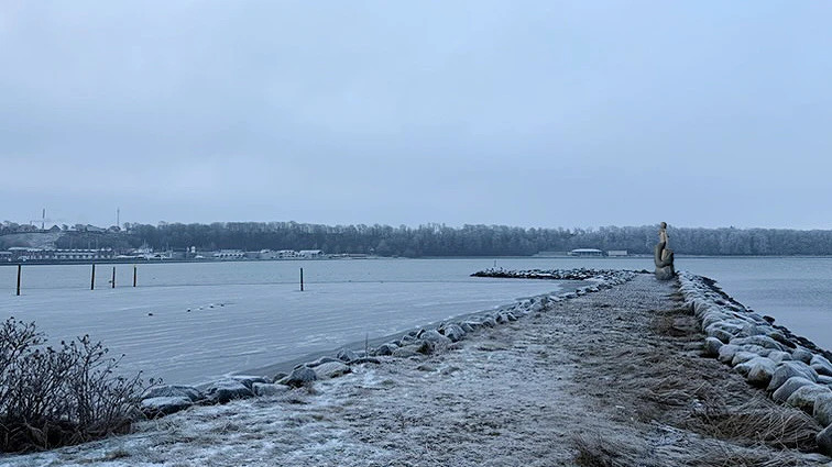 Den Store Havfrue indstilles til prøveplacering på Østmolen ved Lemvig Havn