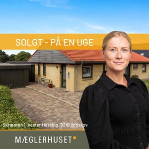 Opslagsbillede