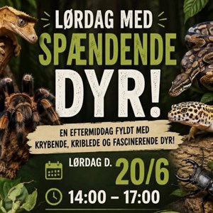 Opslagsbillede