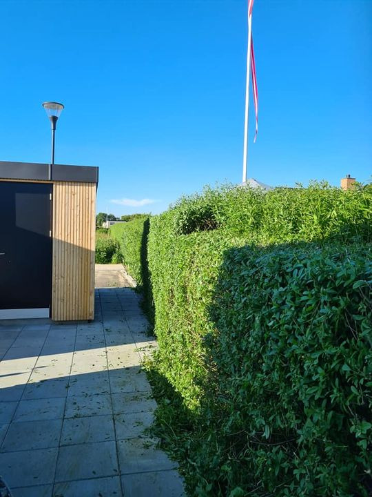 Se dagens updates fra Hjørring her