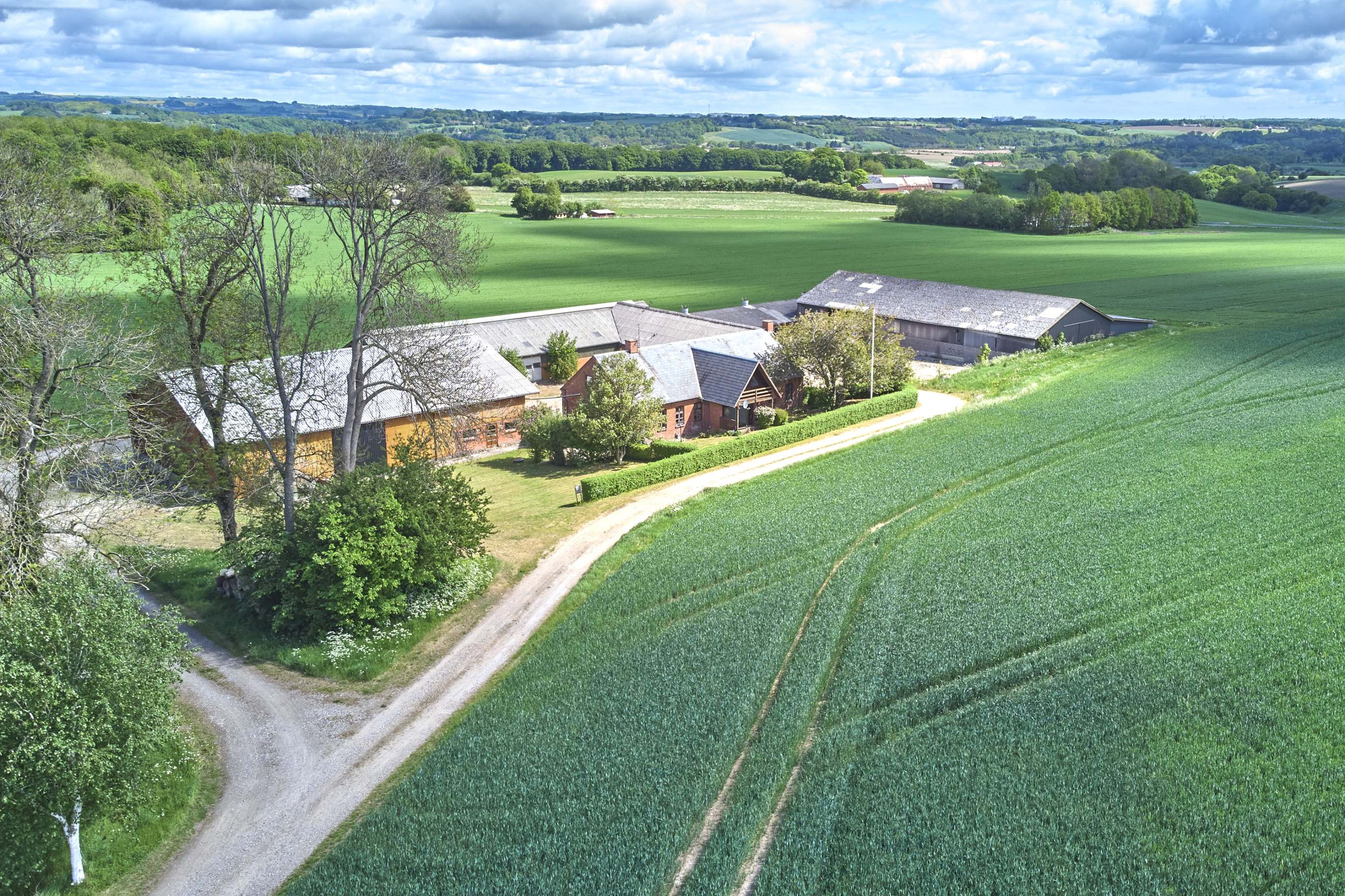 Nyt på opslagstavlen i Horsens