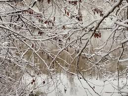 Orienteringstræning i Værløse: Søndagsaktiviteter for alle