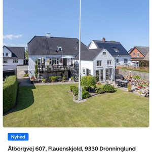 Opslagsbillede
