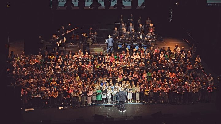 Skoleelever møder stort, professionelt orkester