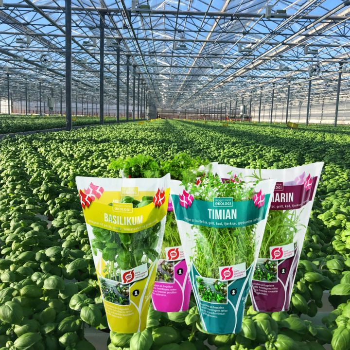 En finger på pulsen i Viby J