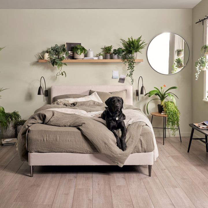 Hold trit med lokalområdet: Nyt fra Holstebro