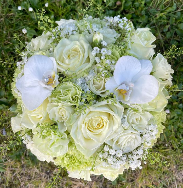 Det nyeste på Roslevs opslagstavle