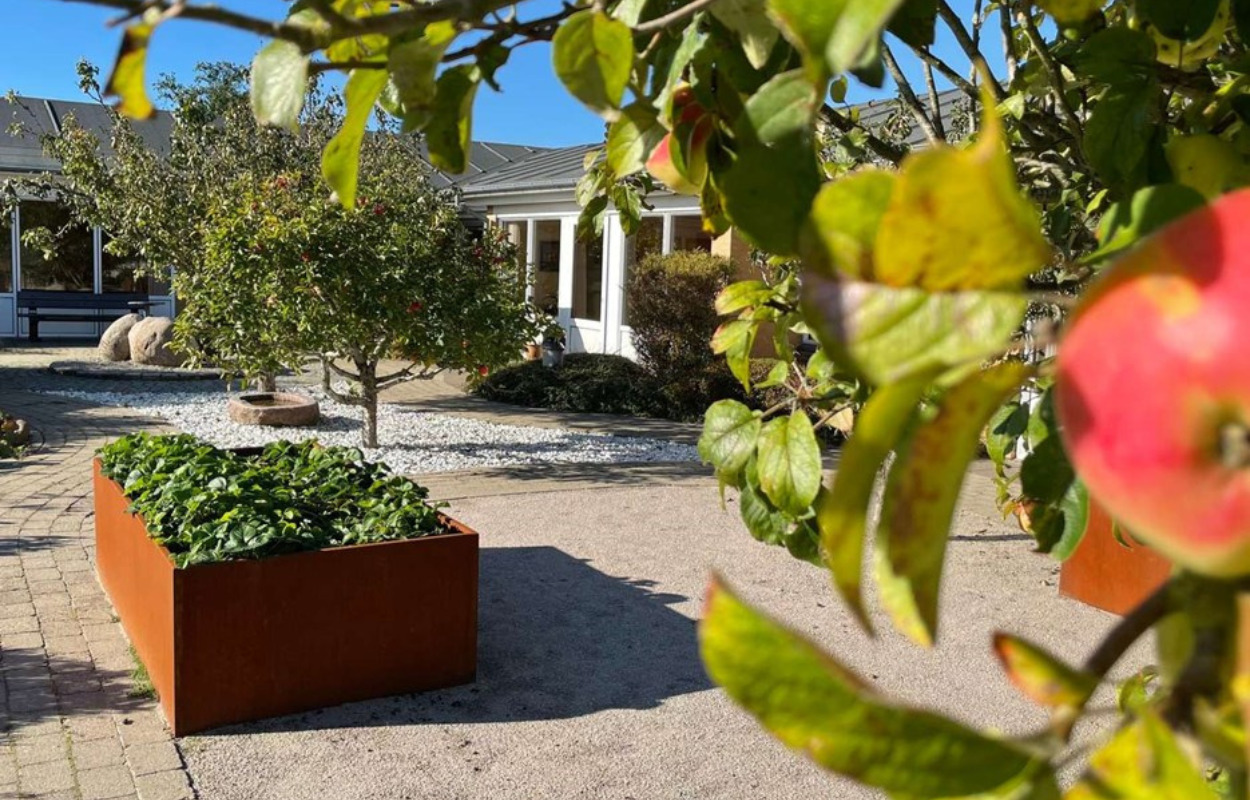 Ny gårdhave på Balling Plejecenter vækker sanserne hos beboerne