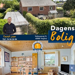 Opslagsbillede