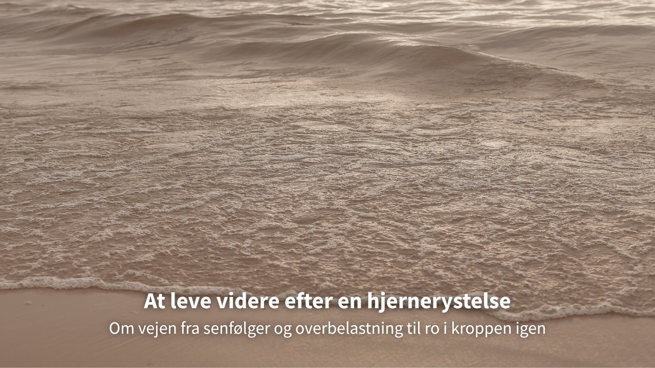 Ro og Velvære: Der skal ikke så meget til for at få en hjernerystelse