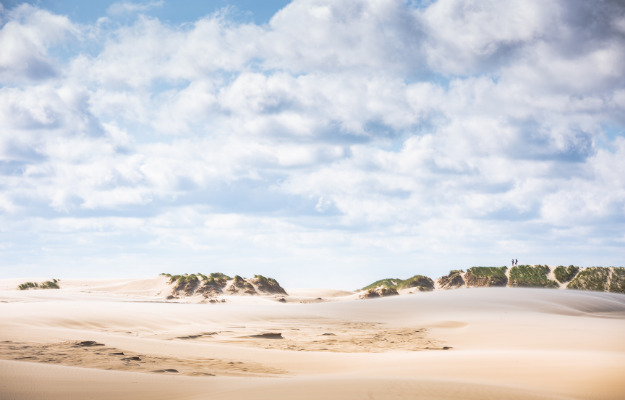 Oplev din kommune: 3 fede oplevelser i Frederikshavn omegn