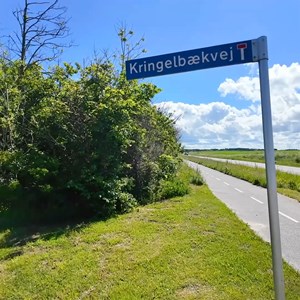 Opslagsbillede