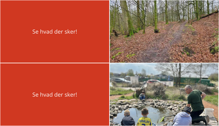 Ugen i Fårevejle: Fra vandreture til naturskabelse for hele familien