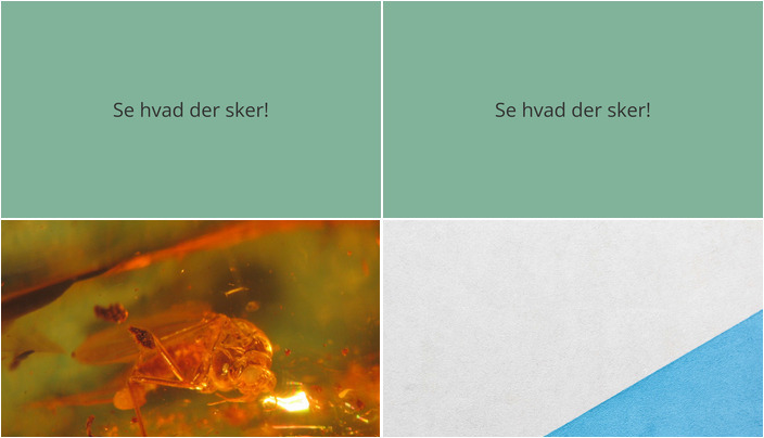 Ugeprogram i Rømø: Oplev Ravjagt og Historisk Filmaften