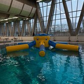 Herning Svømmehal præsenterer Elefanten Ella i springbassinet