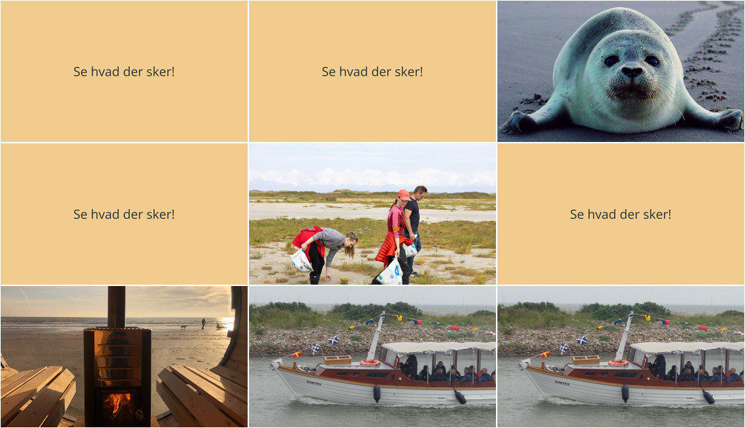 Se, hvad Fanø har at byde på i den kommende uge