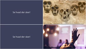 Uge i Marstal: Evolutionært foredrag og EU-formandskabsdebat