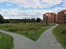 Naturværdier og byudvikling i Kolding Kommune: Nyt forslag til høring