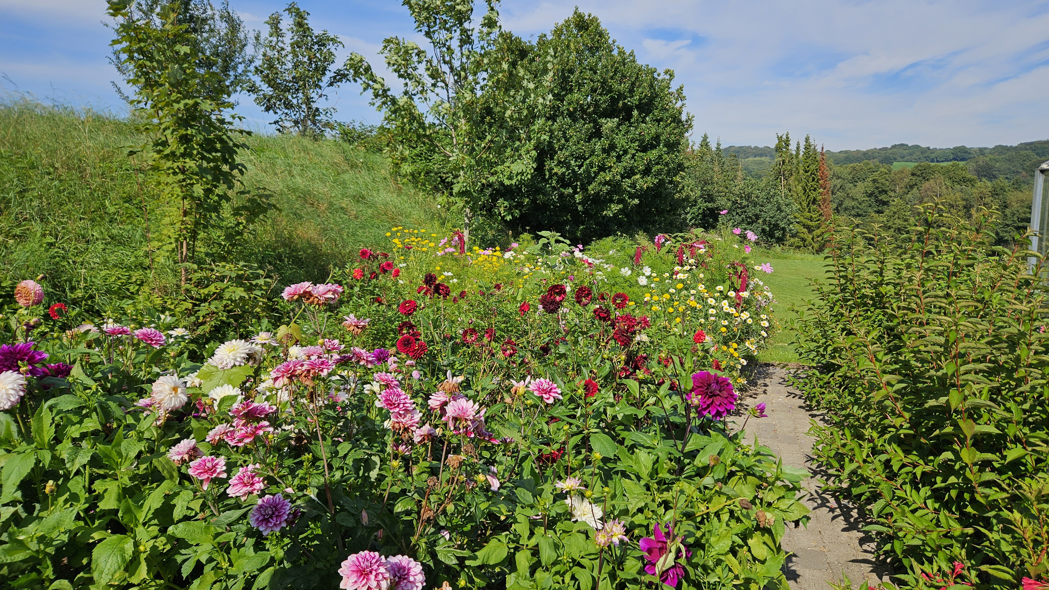 Nye projekter med fokus på fødevarer, oplevelser og aktive mødesteder