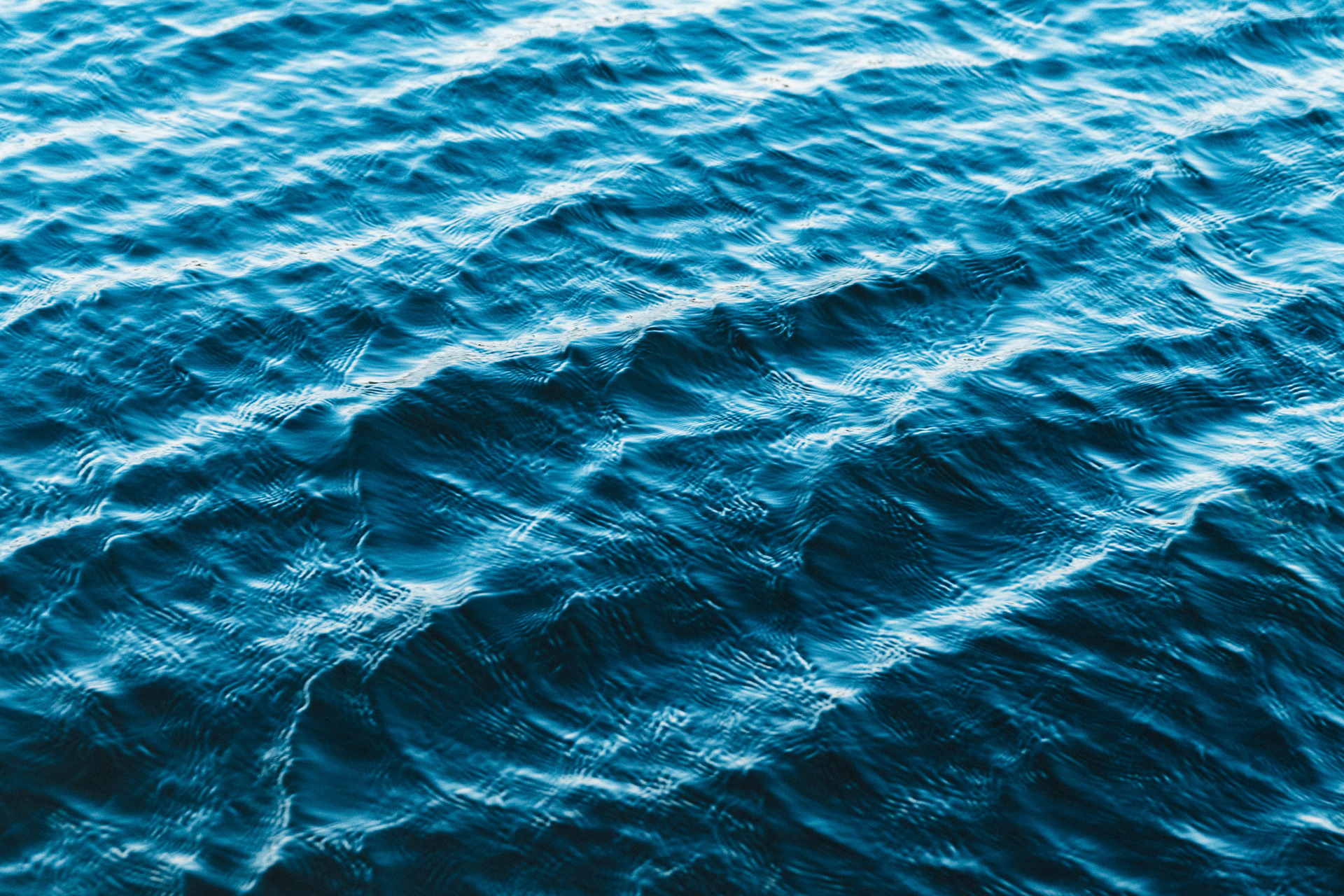 Prøv kræfter med vandsport i Egense Sejlklub