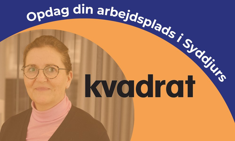 Opdag din arbejdsplads i Syddjurs: Besøg hos Kvadrat og Skomø