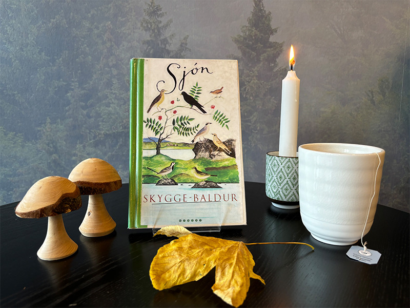 Litteratur og historie på Gladsaxe Hovedbibliotek