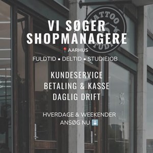 Opslagsbillede