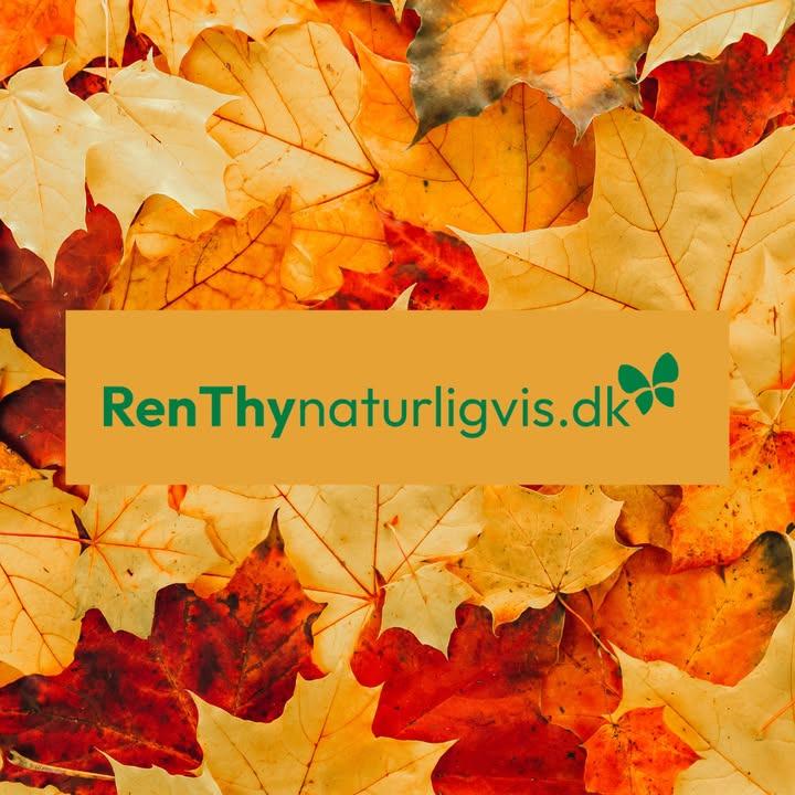 RenThy Naturligvis introducerer efterårsklare, plantebaserede rengøringsmidler