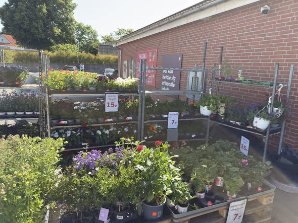 SPAR Valsgård har fyldt op med sommerblomster udenfor