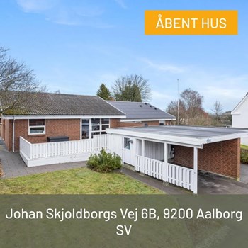 Opslagsbillede