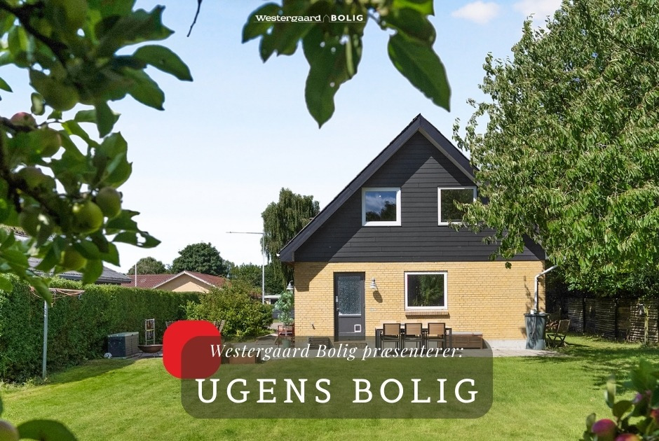 Det nyeste på Vrås opslagstavle