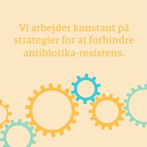 Opslagsbillede