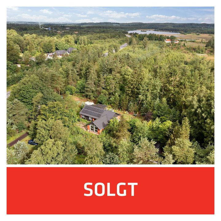 Se dagens updates fra Hammel her