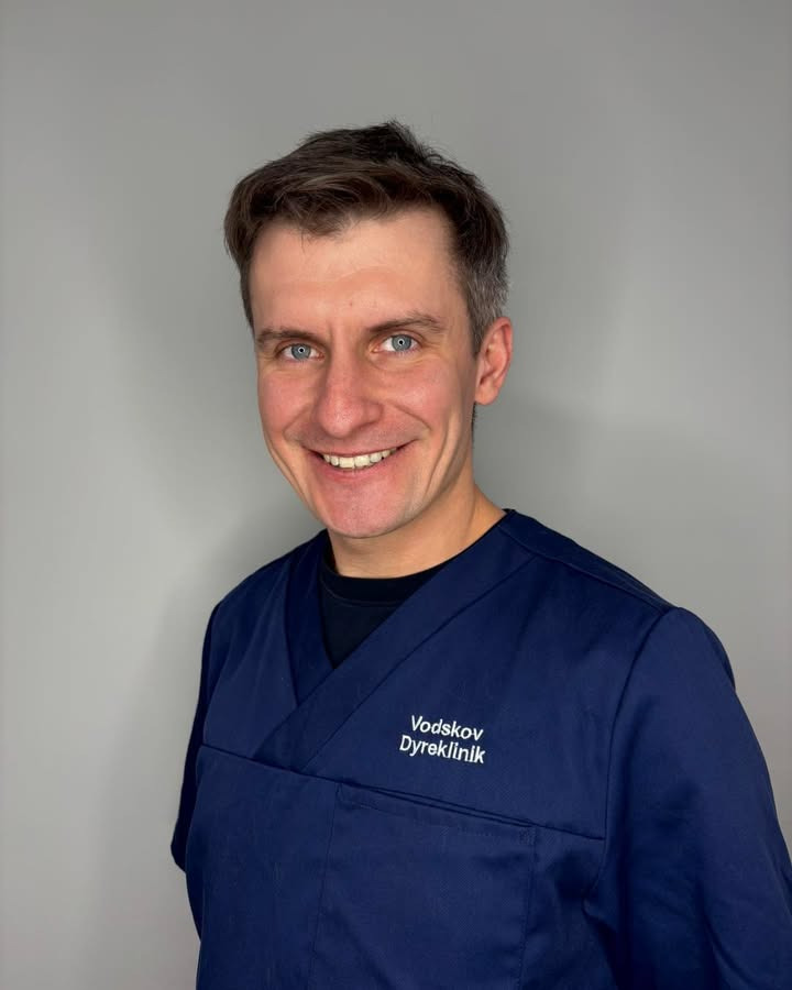 Kacper vender tilbage til Vodskov Dyreklinik med nye kvalifikationer