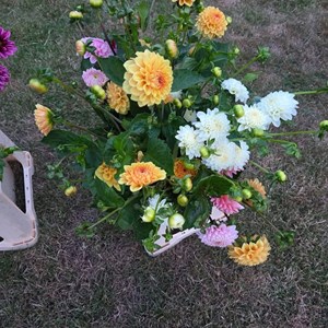 Opslagsbillede