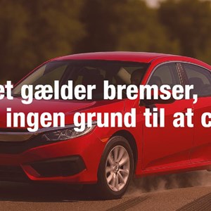 Opslagsbillede