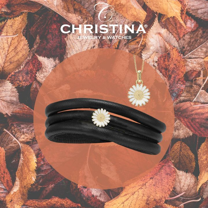 Opslagstavlen: Nyeste opdateringer fra Hobro