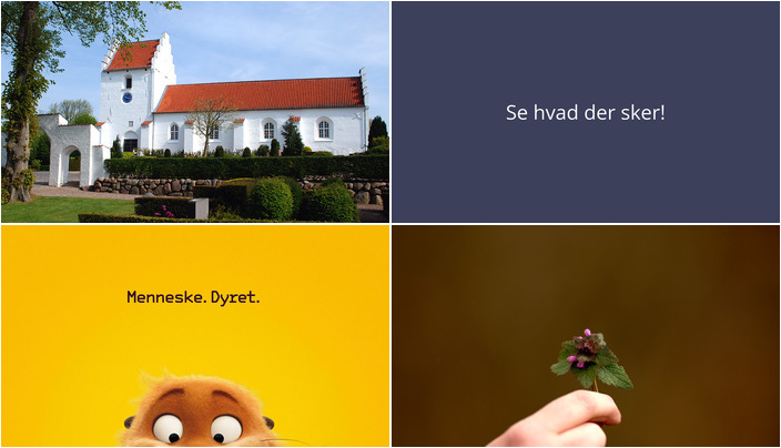 Aktiviteter og oplevelser i Hvalsø denne weekend