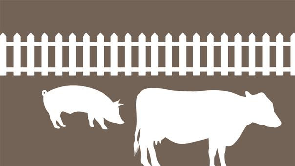 Afgørelse i ansøgning om udvidelse og lovliggørelse af produktionsareal er fundet