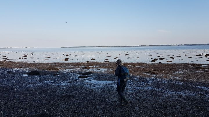 En finger på pulsen i Hammel