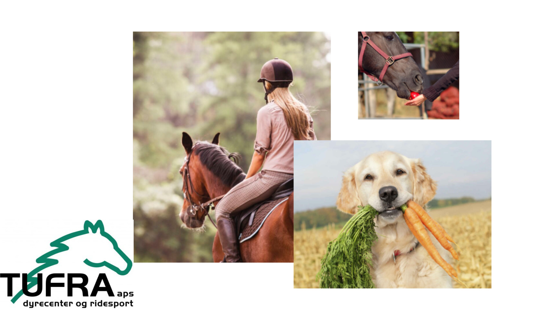 Tufra Dyrecenter: En familiehistorie med kærlighed til dyr gennem generationer