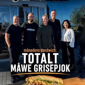 Opslagsbillede